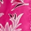 Color swatch - HOT PINK
