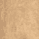 Color swatch - COCO