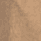 Color swatch - COCO