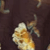 Color swatch - COCOA BLOOM