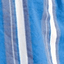 COASTAL BLUE