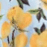 LEMON BLUE