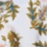 Color swatch - DRY HERB