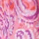 Color swatch - ROSE PINK