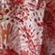 Color swatch - TOMATO