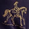 Color swatch - NAVY