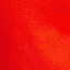 POINSETTIA