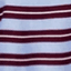 ICE PLUM