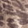 GOLDEN LEOPARD