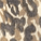 Color swatch - LEOPARD