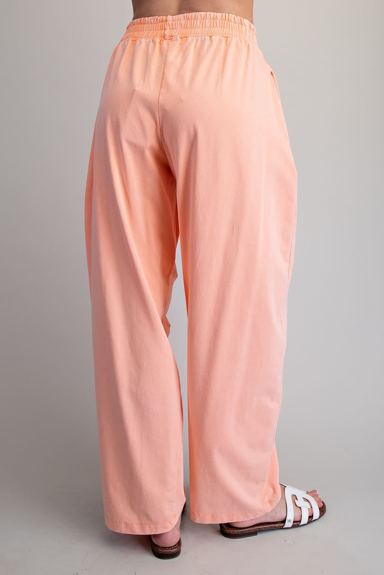 PH15596 - APRICOT
