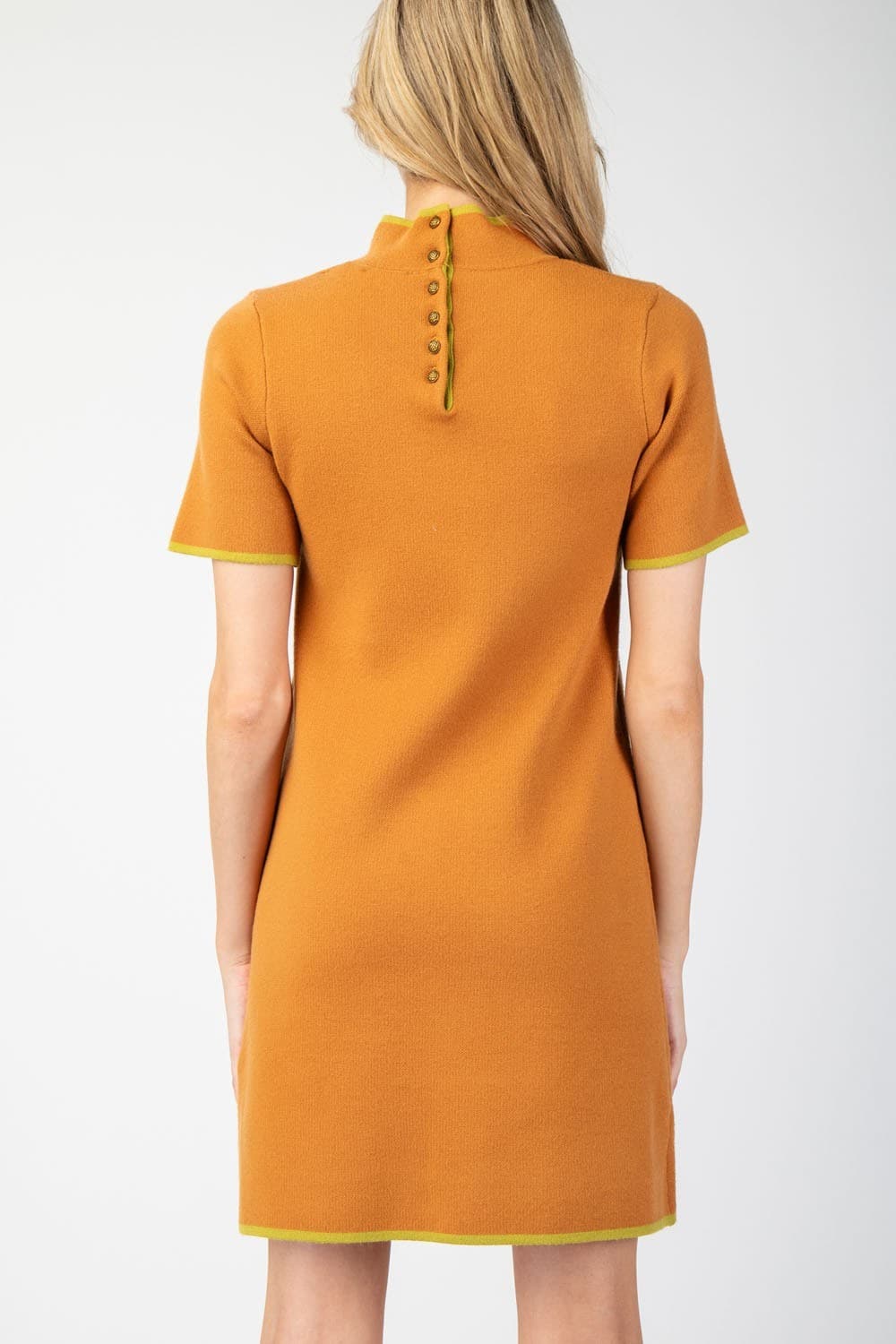 SDG10205 - GINGER