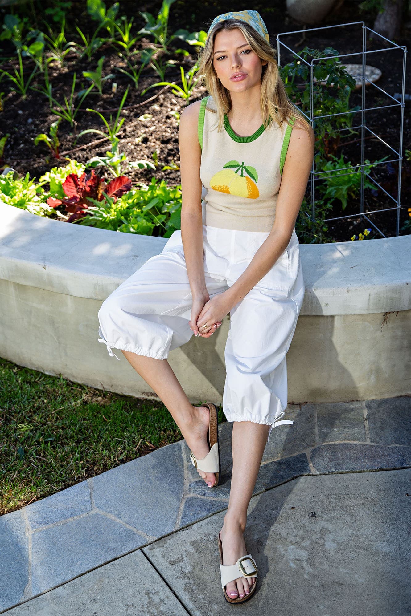 SH15309 - LEMONGRASS